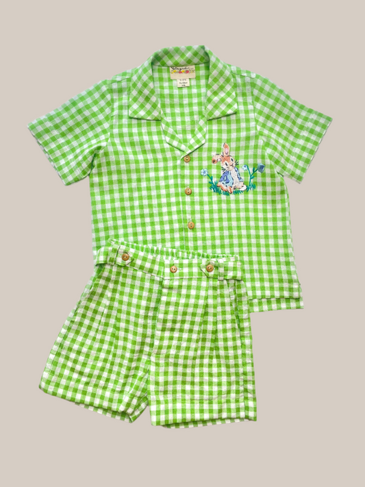 Green gingham set with peter rabbit